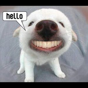 Meet your Posher, Mika